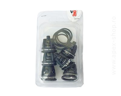 KIT supape pompa Mazzoni, seria PM