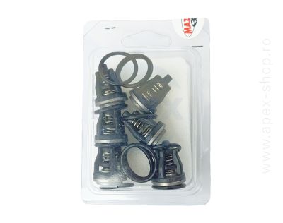 KIT supape Mazzoni, MMD,TMM,MMD,CW,MMD-HY,MMD-EDM