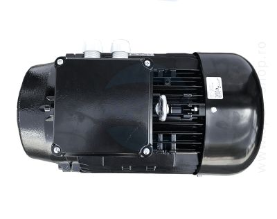 Motor electric Nicolini 15 kW, 4 poli, cuplaj elastic, 1450 rpm