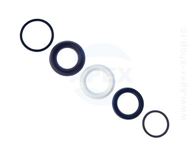 KIT A42549 garnituri presiune Annovi Reverberi D18 seria RR