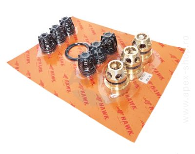 KIT supape, O-ringuri, complet Hawk GXT HT 85°C
